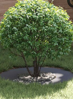 VidaXL geschikt voor platte boomringen 5 pcs Antraciet Ø30 / 60 cm Staal