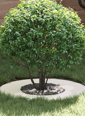 VidaXL geschikt voor platte boomringen 5 pcs Wit Ø30 / 60 cm Staal