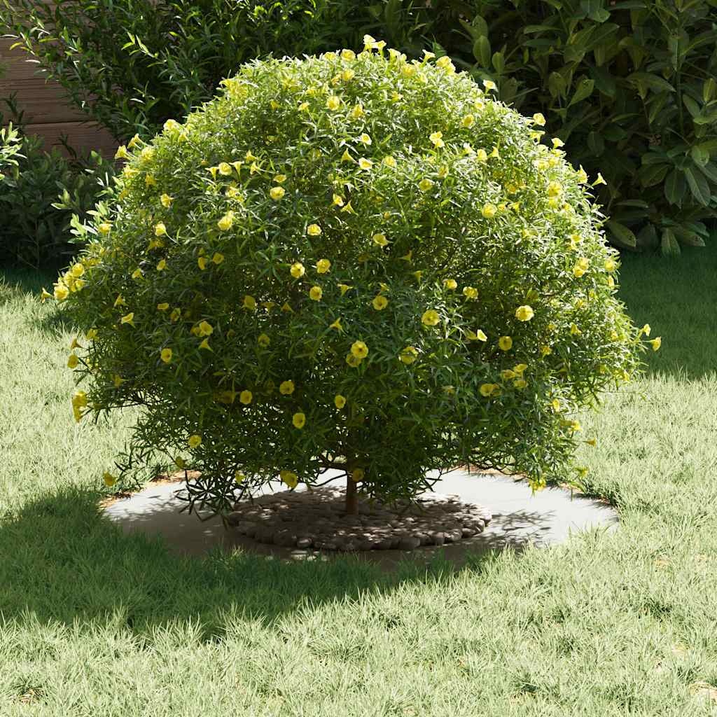 VidaXL geschikt voor platte boomringen 5 pcs Wit Ø30 / 60 cm Staal