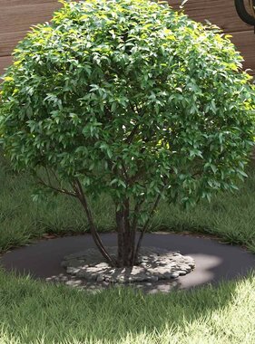 VidaXL geschikt voor platte boomring Zwart Ø30 / 60 cm Staal