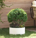 VidaXL Tuin Bloempot 5 pcs Wit 40 x 40 x 20 cm Koudgewalst staal