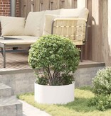 VidaXL Tuin Bloempot 5 pcs Wit 40 x 40 x 20 cm Koudgewalst staal