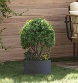 VidaXL Tuin Bloempot 5 pcs Antraciet 30 x 30 x 20 cm Koudgewalst staal