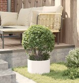 VidaXL Tuin Bloempot 5 pcs Wit 30 x 30 x 20 cm Koudgewalst staal