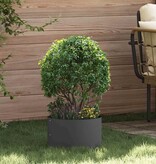 VidaXL Tuinplantbakken 5 pcs Zwart 30 x 30 x 20 cm Staal