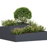 VidaXL Tuin Bloempot Antraciet 100 x 100 x 50 cm Koudgewalst staal