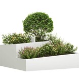 VidaXL Tuin Bloempot Wit 100 x 100 x 50 cm Koudgewalst staal