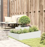 VidaXL Tuin Bloempot Wit 100 x 100 x 50 cm Koudgewalst staal