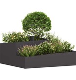 VidaXL Tuin Bloempot Zwart 100 x 100 x 50 cm Koudgewalst staal