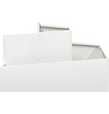 VidaXL Tuin Bloempot Wit 80 x 80 x 50 cm Koudgewalst staal