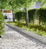 VidaXL Tuinrand 20 pcs Zilver 100 x 0.05 x 20 cm Gegalvaniseerd staal