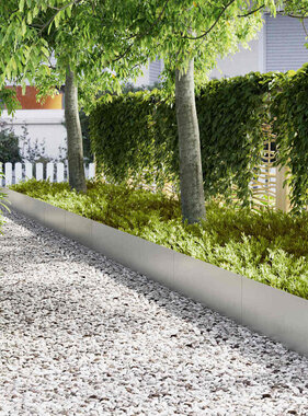 VidaXL Tuinrand 20 pcs Zilver 100 x 0.05 x 20 cm Gegalvaniseerd staal