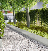 VidaXL Tuinrand 20 pcs Zilver 100 x 0.05 x 20 cm Roestvrij staal