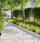 VidaXL Tuinrand 30 pcs Zilver 100 x 0.05 x 20 cm Roestvrij staal