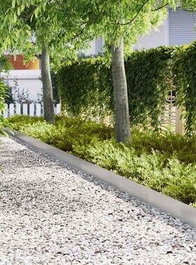 VidaXL Tuinrand 30 pcs Zilver 100 x 0.05 x 20 cm Roestvrij staal