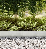 VidaXL Tuinrand 10 pcs Zilver 100 x 0.05 x 20 cm Roestvrij staal