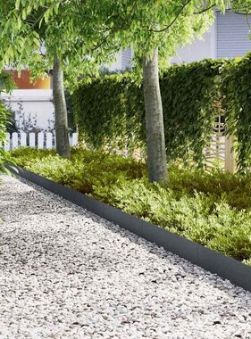 VidaXL Tuinrand 10 pcs Antraciet 100 x 0.05 x 20 cm Koudgewalst staal