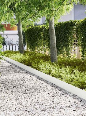 VidaXL Tuinrand 10 pcs Wit 100 x 0.05 x 20 cm Koudgewalst staal