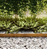 VidaXL Tuinrand 50 pcs Bruin 100 x 0.05 x 20 cm Cortenstaal