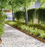 VidaXL Tuinrand 30 pcs Bruin 100 x 0.05 x 20 cm Cortenstaal