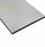 VidaXL Gazonranden 50 pcs Zilver 100 x 0.5 x 15 cm