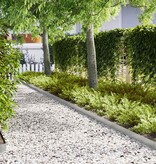 VidaXL Tuinrand 20 pcs Zilver 100 x 0.05 x 20 cm Gegalvaniseerd staal