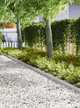 VidaXL Tuinrand 50 pcs Zilver 100 x 0.05 x 20 cm Roestvrij staal