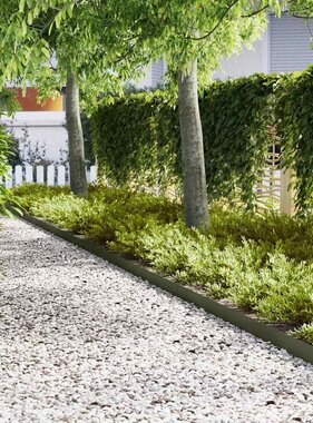 VidaXL Tuinrand 20 pcs Olijf Groen 100 x 0.05 x 20 cm