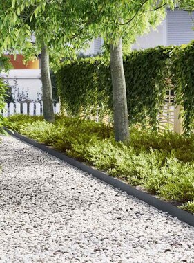 VidaXL Tuinrand 10 pcs Antraciet 100 x 0.05 x 20 cm Koudgewalst staal