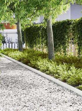 VidaXL Tuinrand 20 pcs Wit 100 x 0.05 x 20 cm Koudgewalst staal