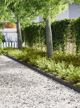 VidaXL Tuinrand 10 pcs Zwart 100 x 0.05 x 20 cm Koudgewalst staal