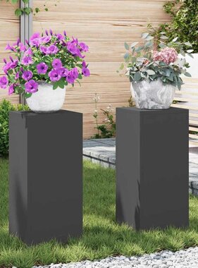 VidaXL Plantenstandaard 2 pcs Zwart 24 x 24 x 55 cm Staal
