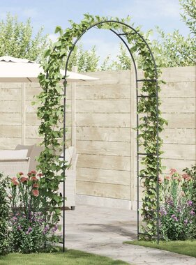 VidaXL Tuin Boog Bloemen Zwart