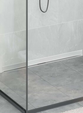 VidaXL Wandgemonteerde Douche Afvoer Zilver 100 cm Roestvrij staal 304