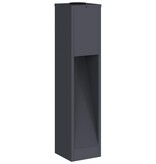 VidaXL Zonne LED Padverlichting 2 pcs Antraciet Koudgewalst staal