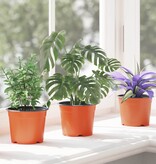 VidaXL Bloempot 200 pcs Keramiek Ø 15 x 12.5 cm Kunststof