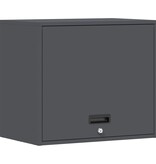 VidaXL Wandkast voor Garage Antraciet 60 x 40 x 53 cm