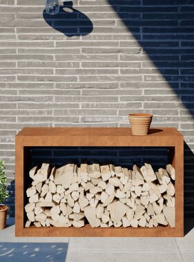 VidaXL Brandhoutrek 100x40x60 cm weervast staal