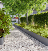 VidaXL Gazonranden 10 st 25x103 cm koudgewalst staal antraciet