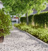 VidaXL Gazonranden 10 st 10x103 cm roestvrij staal