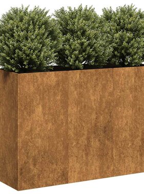 VidaXL Plantenbak roestig 120x40x80 cm weervast staal