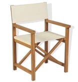 VidaXL Regisseursstoel inklapbaar massief teakhout