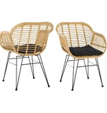 SalesFever Set van 2 fauteuils in rotan look, naturel