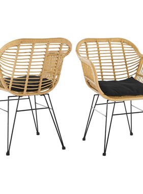 SalesFever Set van 2 fauteuils in rotan look, naturel