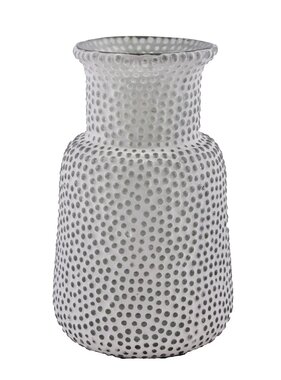 Pole To Pole GLAZEN VAAS KRISTAL M (Set van 8)