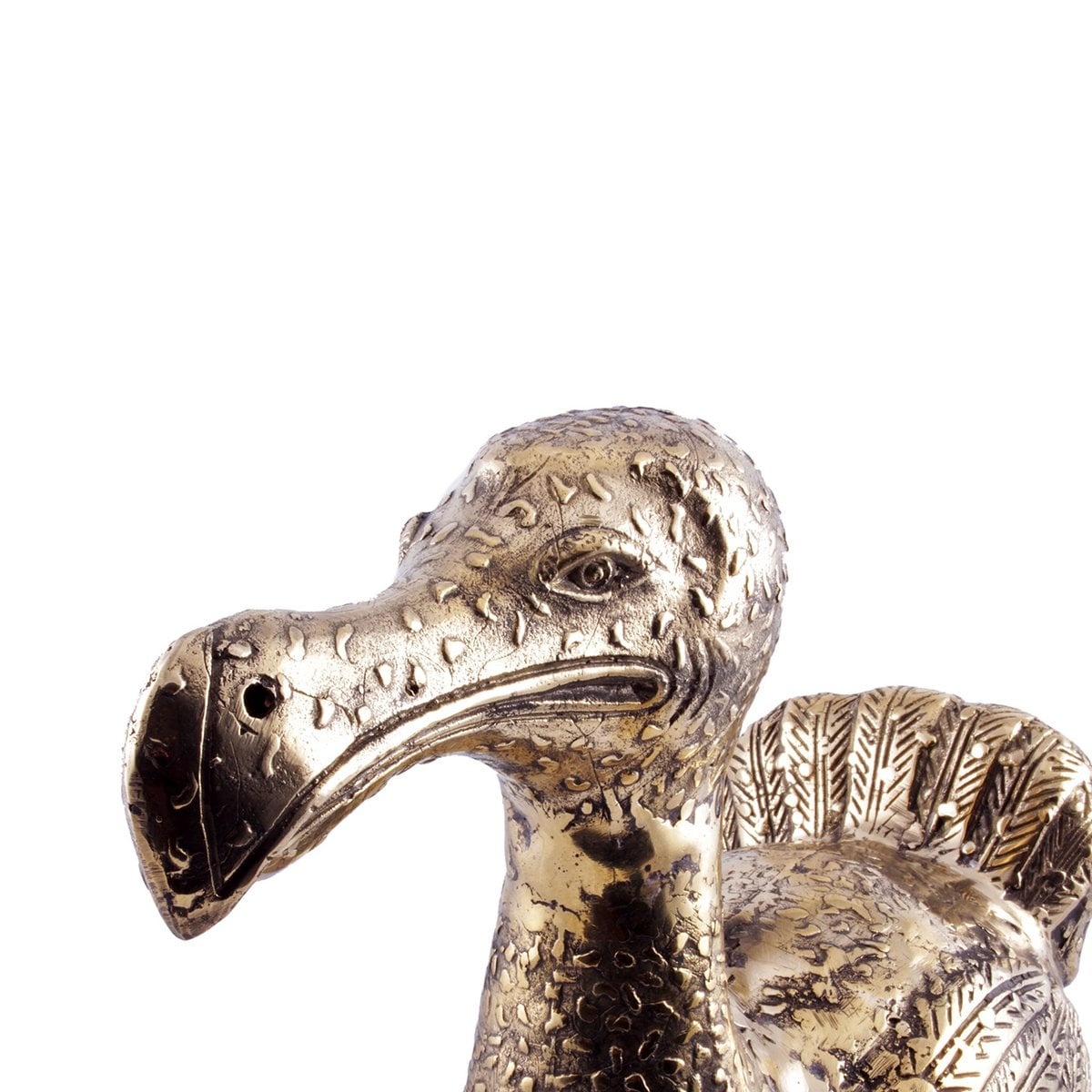 Pole To Pole Messing Dodo M