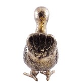 Pole To Pole Messing Dodo M