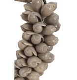 Pole To Pole J66 Kleine schelpenketting