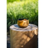 De Stam Kruk - Naturel