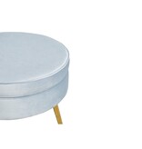 SalesFever Ronde poef in lichtgrijs fluweel